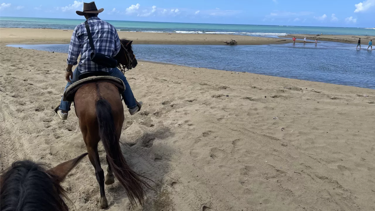 Beach horseback ride in Puerto Plata